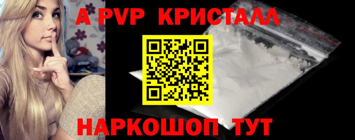 A PVP СК КРИС Печора