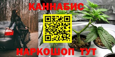 дмт Обнинск