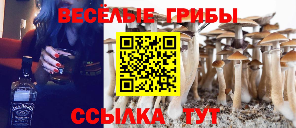 Печора  Галлюциногенные грибы MAGIC MUSHROOMS  Вход с VPN 