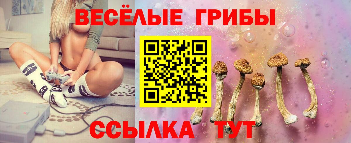 Галлюциногенные грибы мухоморы Печора